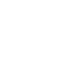 whatsapp business