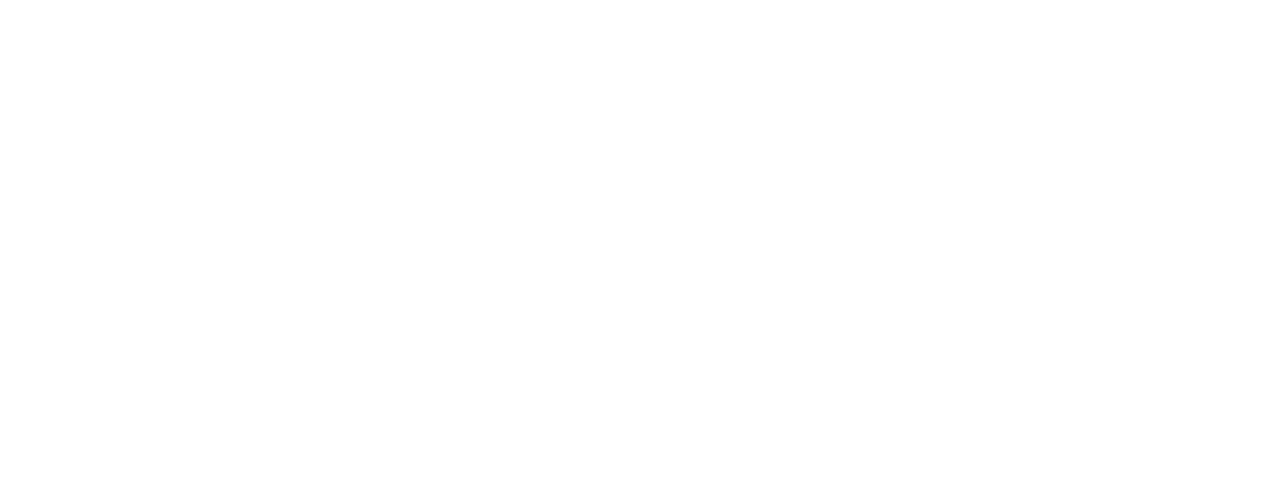 Logo Everest